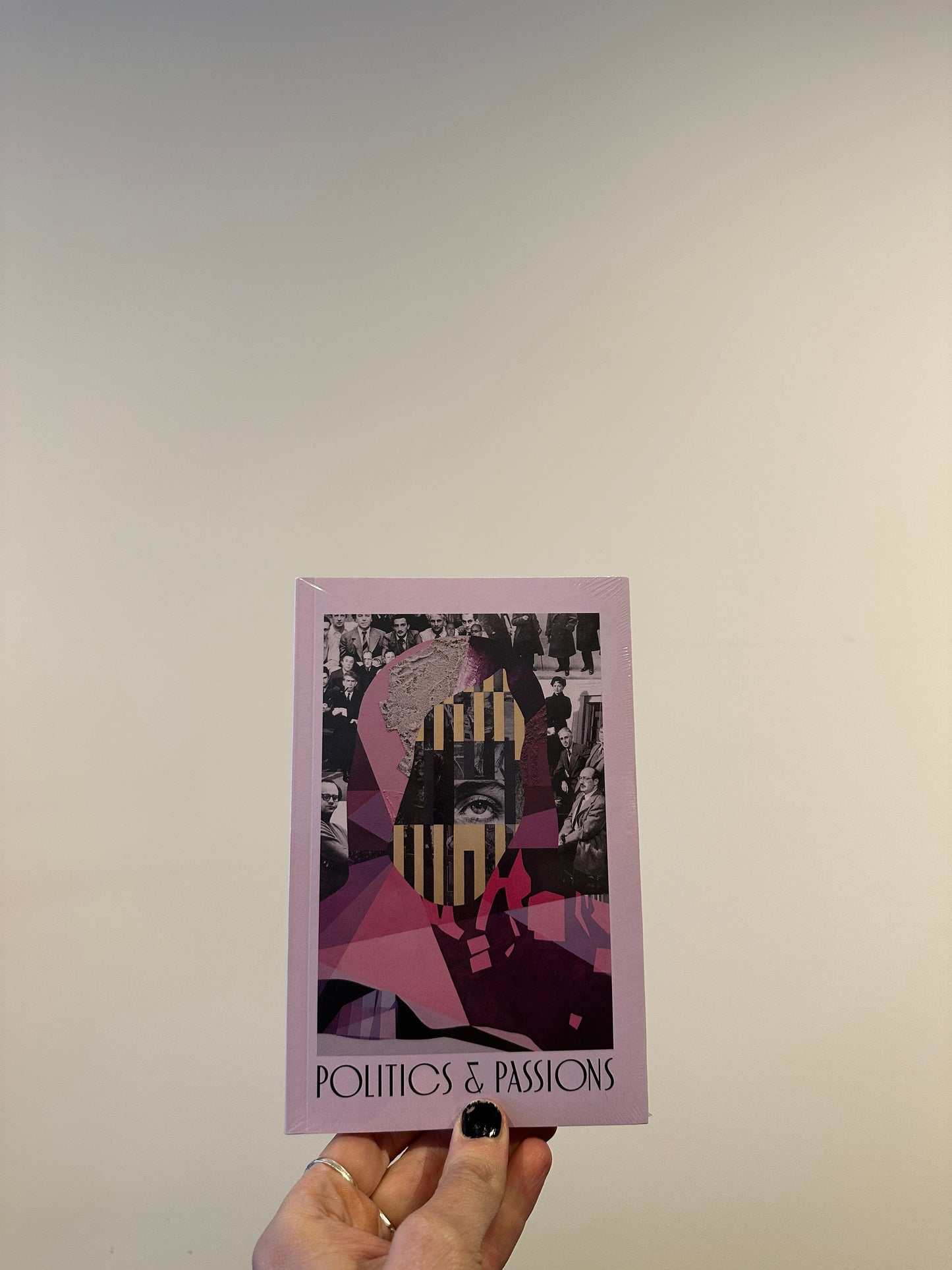 Politics and Passions Book