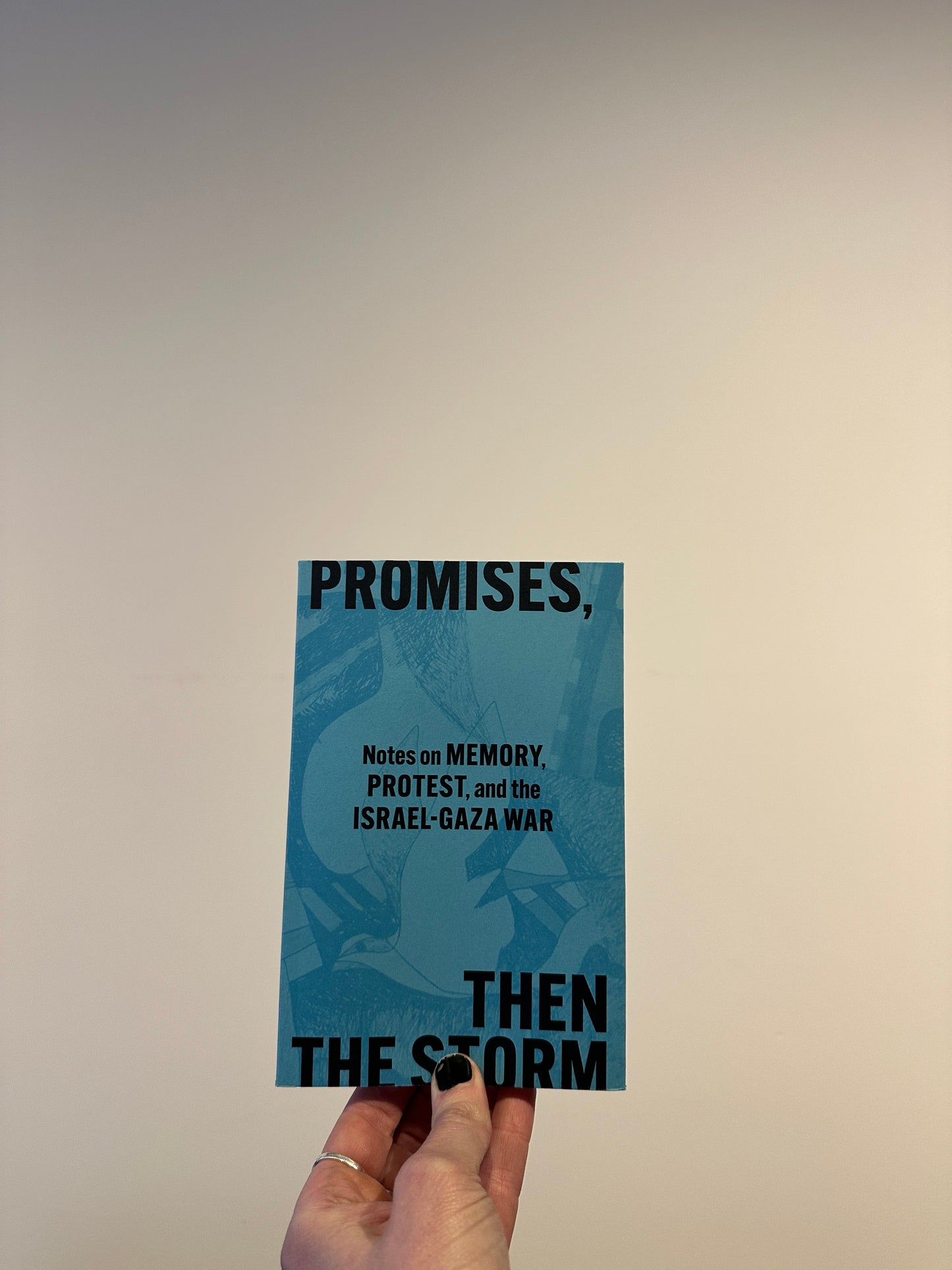 Promises, Then the Storm: Notes on Memory, Protest, and the Israel–Gaza War Book