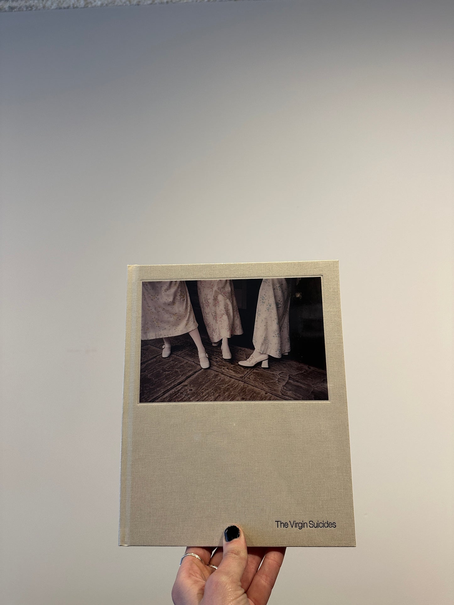 The Virgin Suicides Book
