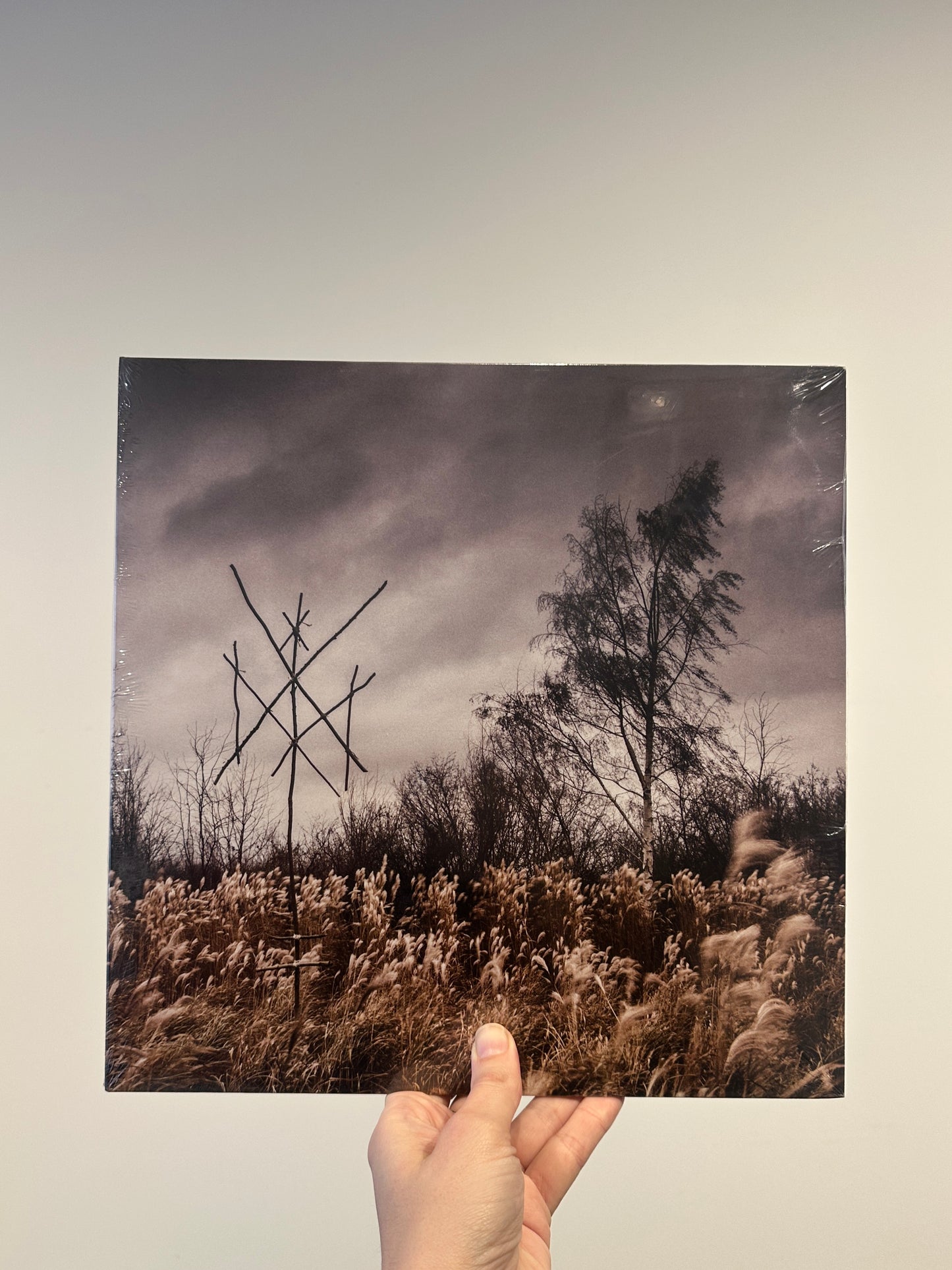 Wiegedood "De Doden Hebben Het Goed" LP