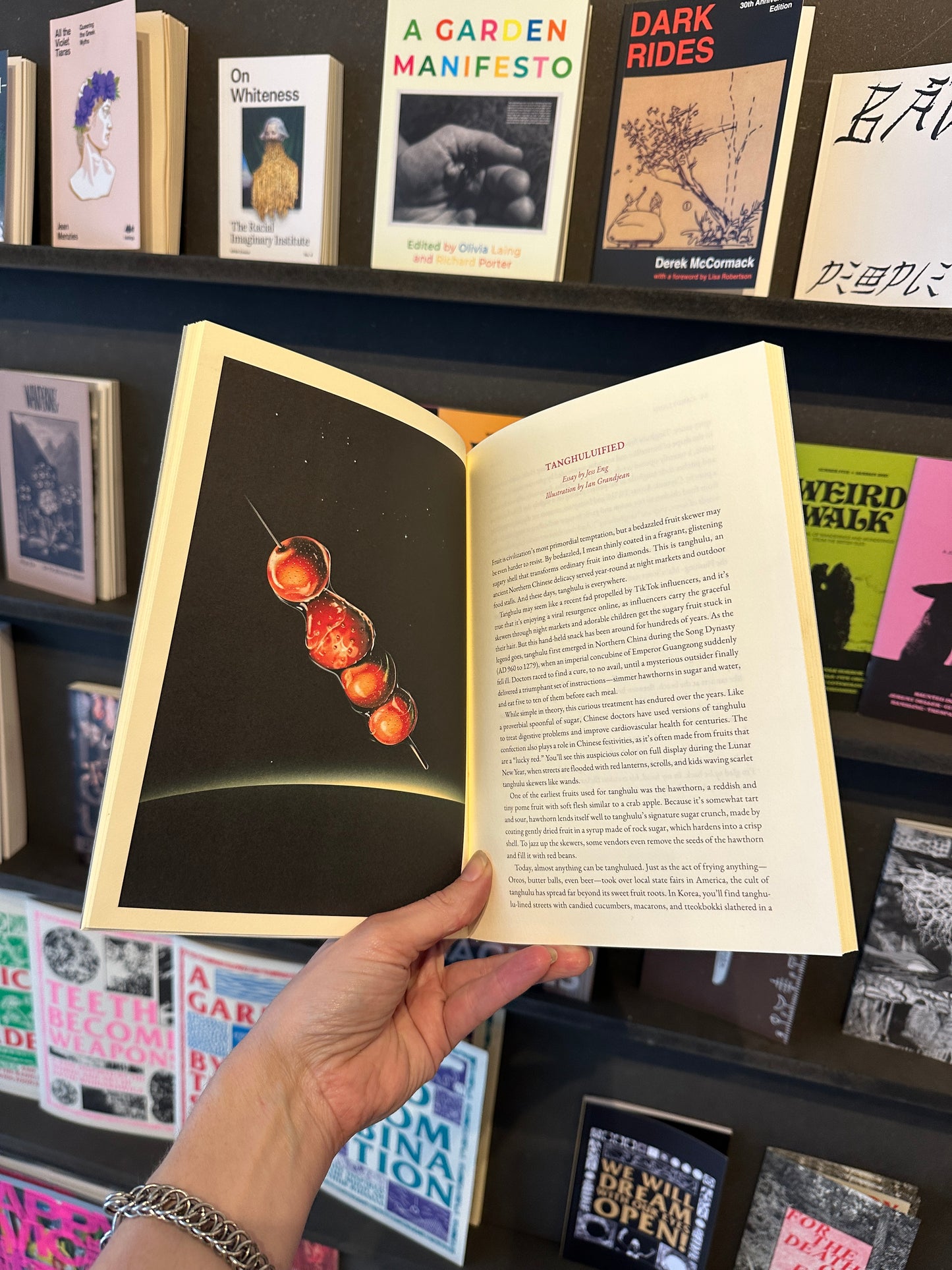 Cake Zine Volume 6 "Candy Land"