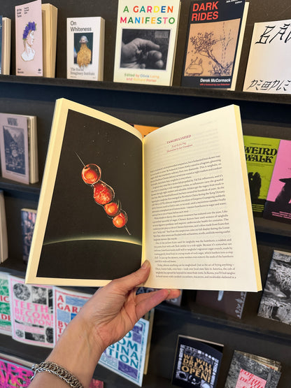 Cake Zine Volume 6 "Candy Land"