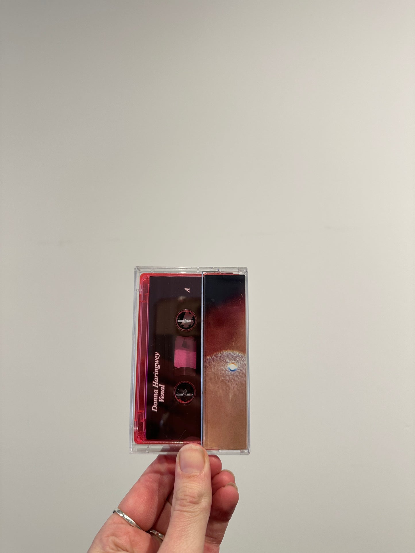 Donna Haringwey "Venal" MC