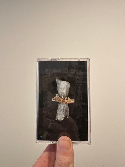 Nomadic Rituals "Fust" MC