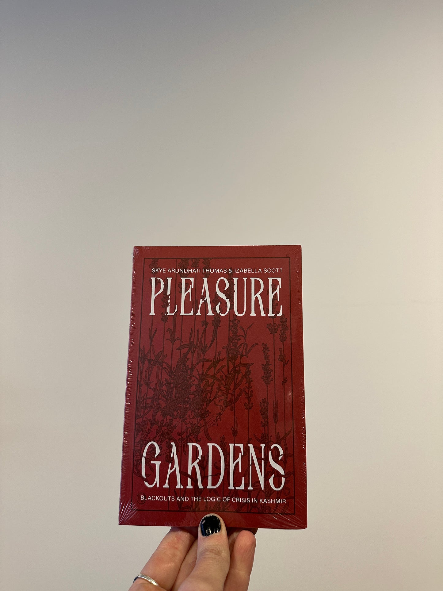Pleasure Gardens: Blackouts and the Logic of Crisis in Kashmir DISCOURSE 015 Book