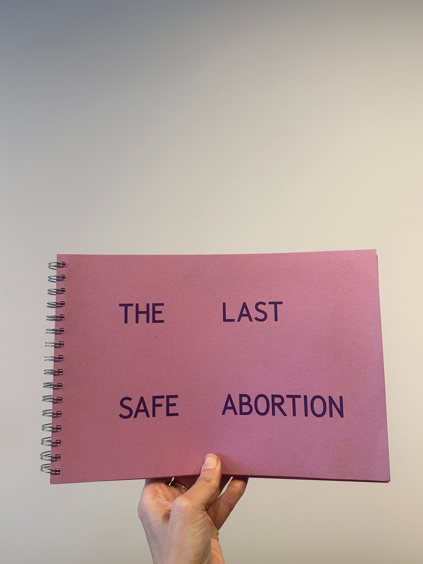The Last Safe Abortion Book