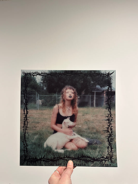 Tylo "Of Rot and Rebirth" LP