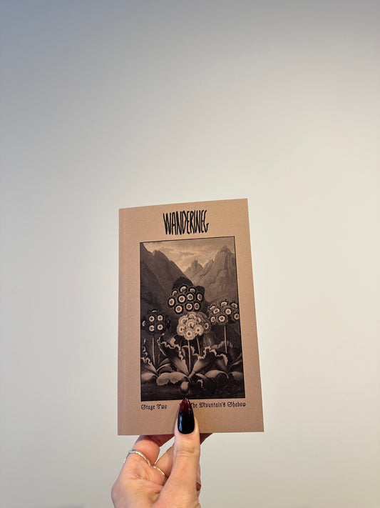 Wanderweg Issue 2