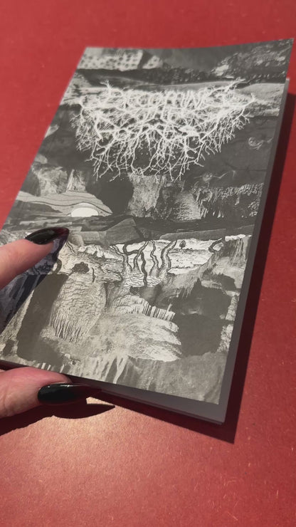 Becoming the Forest | Issue V Zine